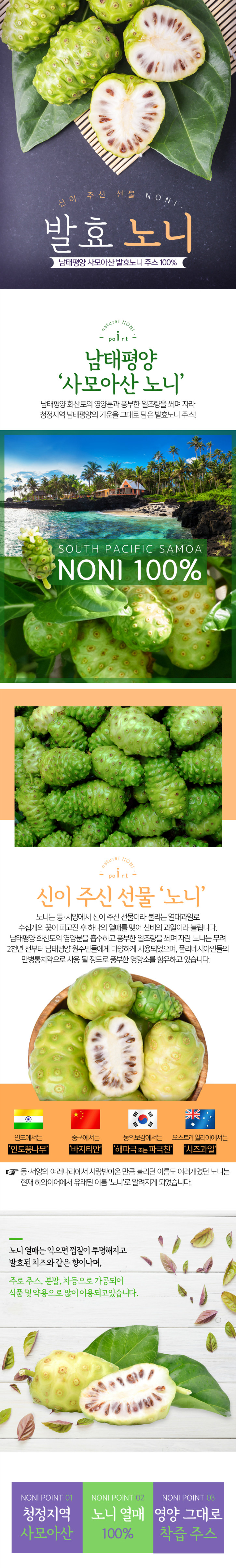 노니-기술서_수정_01.jpg